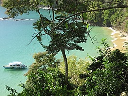 多巴哥,海滩,夏季