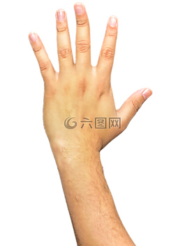 手,手指,臂