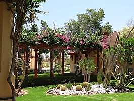 夏天的花園,假期,酒店
