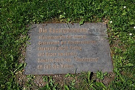 板,信息,steinplatte