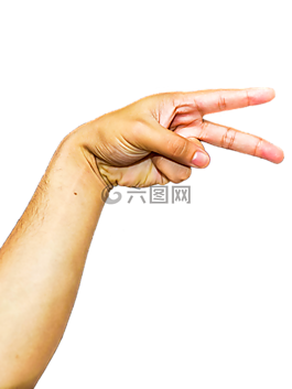 手,手指,臂