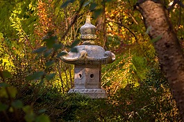 日本,石,灯笼