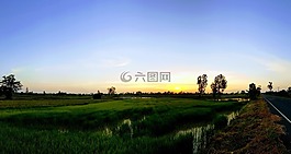 光,視圖,日落