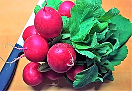 蘿卜,蔬菜,沙拉