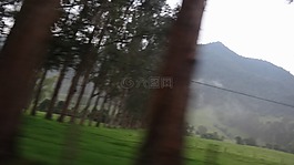 路線,森林路線,湖