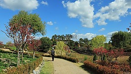 天空,藍(lán)色,藍(lán)