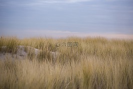 沙丘,kijkduin,荷蘭