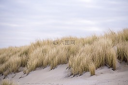 沙丘,kijkduin,荷蘭