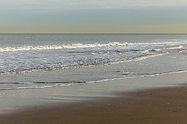 海灘,海,安靜的