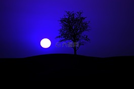 夜,夜晚的天空,月球