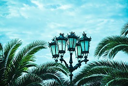 路燈,棕櫚樹,天空