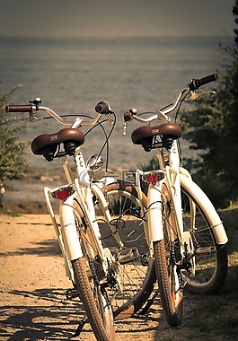自行車,夫婦,海灘
