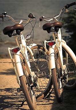 自行車,夫婦,海灘