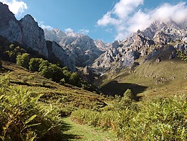景觀,山,自然
