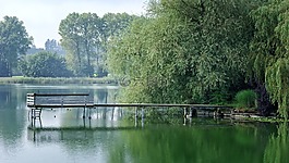 木板路,網(wǎng)站,碼頭