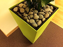 花盆,鵝卵石,斗