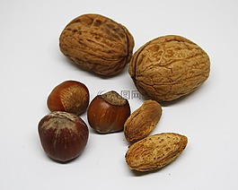 干果,榛子,核桃