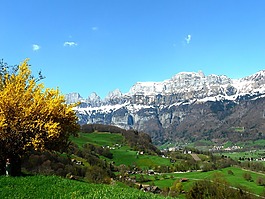 高山,山,冰川