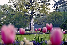 公园,雕塑,鲜花
