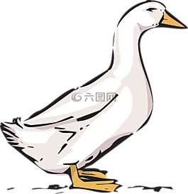 鴨,動物,農(nóng)場