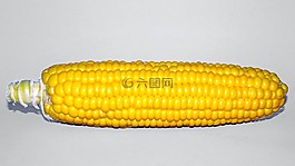 埃及,宏,工作室