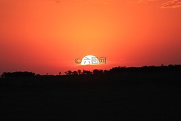 日落,非洲,seringeti