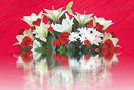 百合花,玫瑰,花束