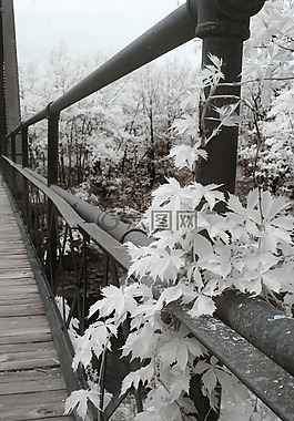 光,黑,bw