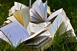 圖書,書頁,安營
