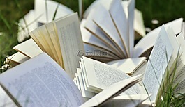 圖書,書頁,安營