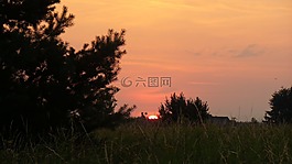 日出,草地,早上