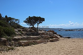 海灘,海,地中海