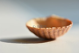 外殼,宏,貝殼