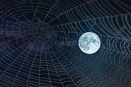 月亮,全,web