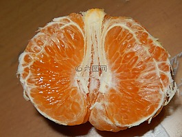普通話,水果,柑橘