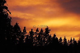 瑞典語,自然,日落