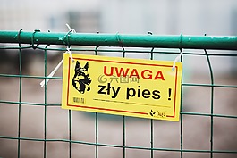 注意,壞,狗