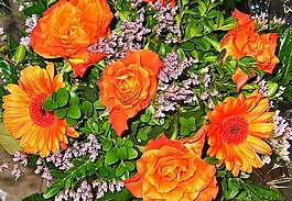 花束,非洲菊,鮮花
