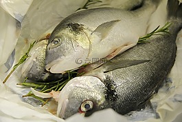 魚,食品,自然