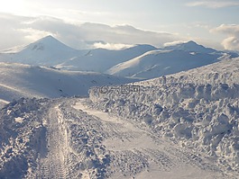雪,冬季,弗羅斯特