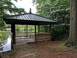 池,樹,戶外