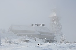 霧,冬季,雪