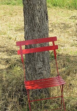 椅子,樹,w