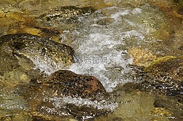 水,當前,河