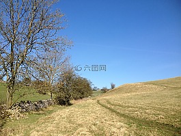 原野,軌道,樹