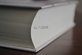 大,书,业务