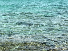 海,波,鏡像