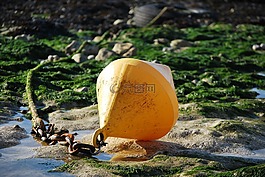 浮標,黃色,濱