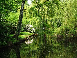 性質(zhì),國家園林展,景觀