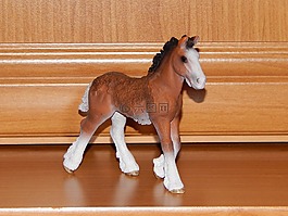 這匹馬,玩具,馬